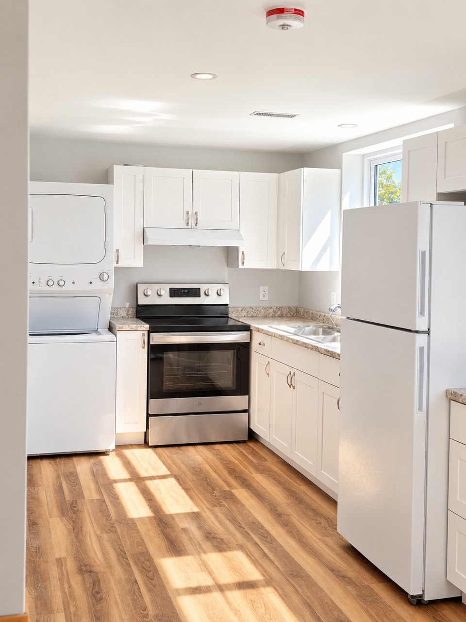 Renovated North-End 1-Bedroom 3
