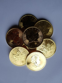 Piece monnaie royale Feuille erable canadien or pur fin 9999 1oz