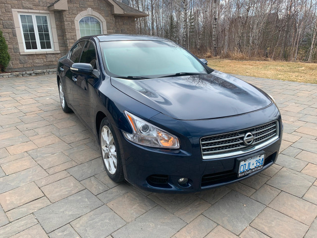 Certified 2013 Nissan Maxima in Cars & Trucks in Sudbury - Image 2
