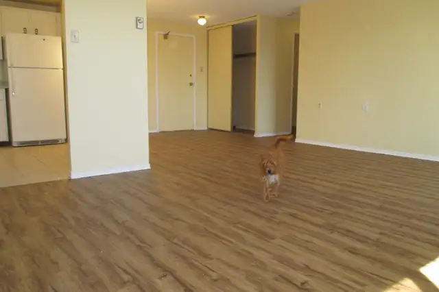 Orangeville Apartment With Closets Galore and Balcony in Long Term Rentals in Oakville / Halton Region - Image 4