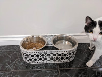 Dog/Cat elevated feeding bowl (Large)