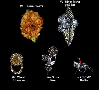 5 Vintage Brooches, costume jewellery. $10 each piece, View more