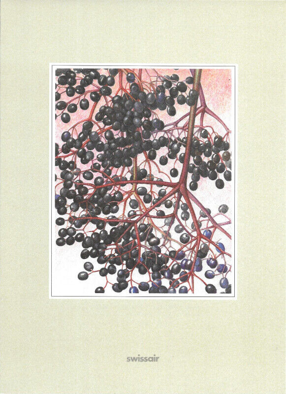 SWISSAIR 1st Class Madrid to Switzerland MENU ‘Elderberry’ Cover in Arts & Collectibles in Ottawa