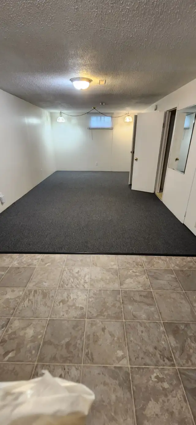 basement apt