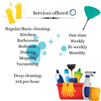 Affordable cleaning house services