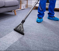 Carpet and upholstery cleaning services 