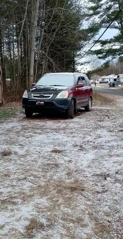 Honda's CRV 2.4v tech run drive need new rad . Have to many vehicles