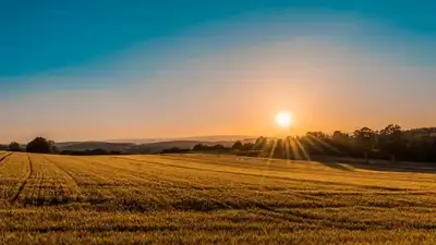 Agriculture Worker, View more