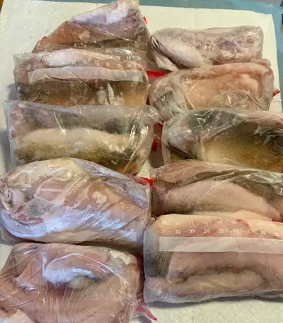 fresh walleye, View more