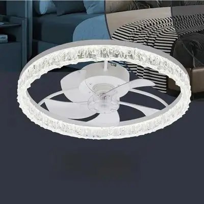 AHAWILL Ceiling Fan with Light, View more