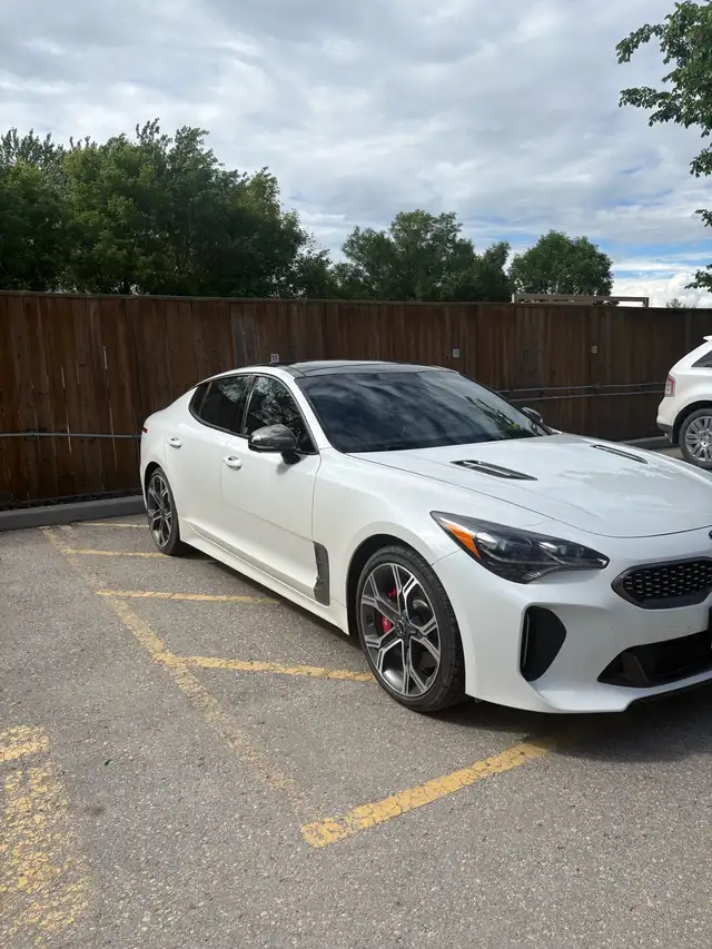 2019 Kia stinger gt2 limited  in Cars & Trucks in Winnipeg - Image 4