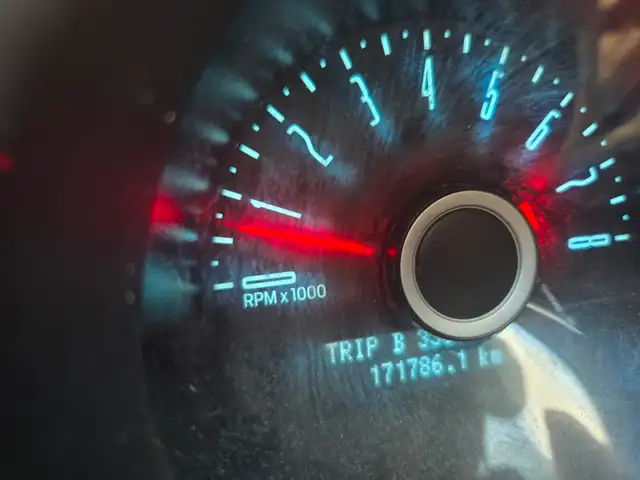 2014 Mustang557469095597199365