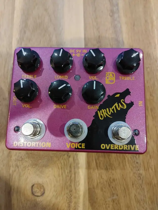 Câline brutus dcp-02 in Amps & Pedals in Sherbrooke - Image 2