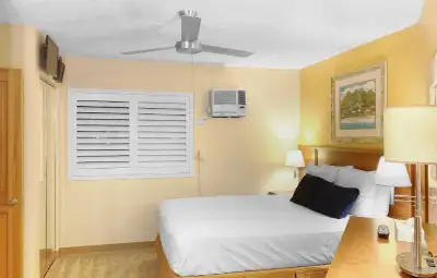 MAUI CONDO FOR RENT - one bedroom suite, View more
