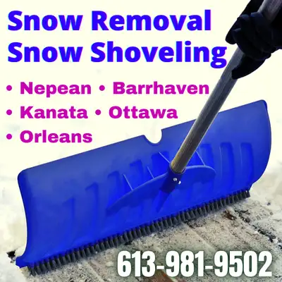 Snow removal / Snow shovelling - Available NOW, View more