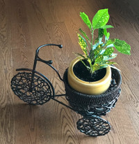 Metal & Wicker  3 wheeled Bike Plant Holder Plant Not Included