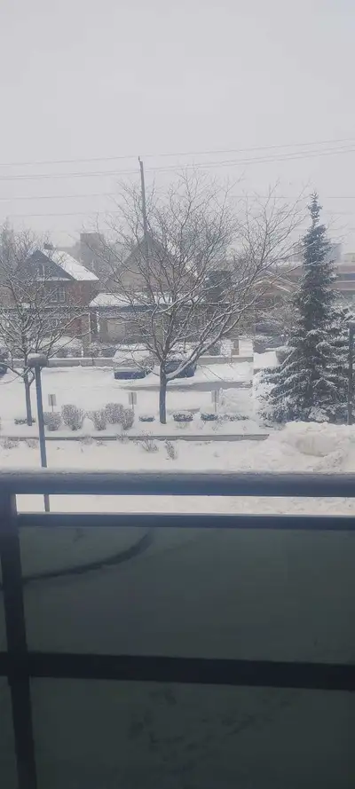 snow removal 24 hours open, View more