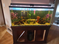 60gal tank with stand