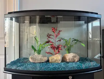 AQUARIUM / FISH TANK, View more