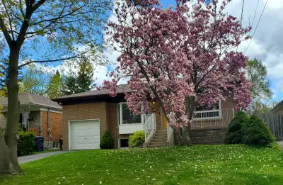 3 bedrooms bright basement
