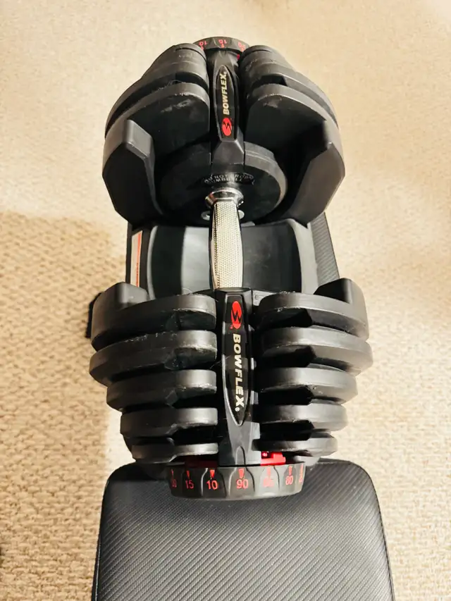 Boweflex 1090 Dumbbells