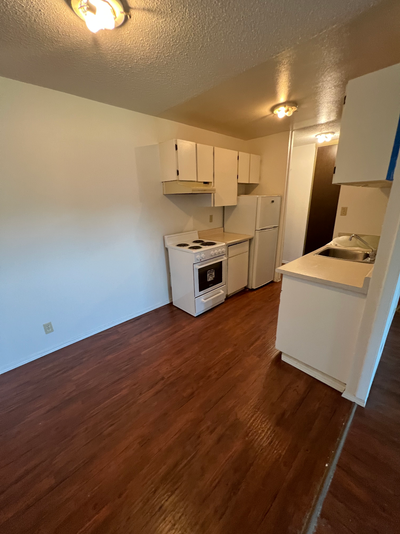 Centrally located 1 bedroom apartment available for rent. Located in a great neighbourhood near Pine...