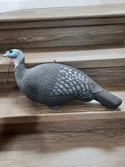 Get ready for hunting season with this realistic, used turkey decoy! Perfect for attracting those el...