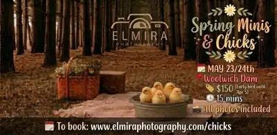 Spring Mini Photography Sessions with Baby Chicks, View more