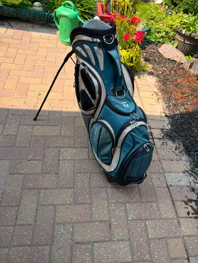 TaylorMade stand bag w rain hood, View more