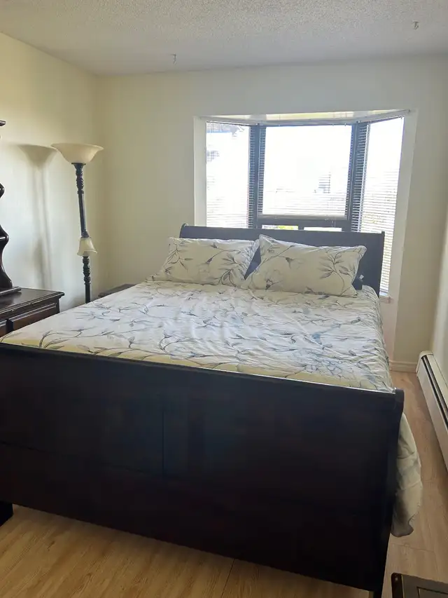 QUEEN SLEIGHT BED FRAME64844381161985120