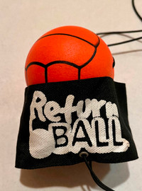 Return Ball toy