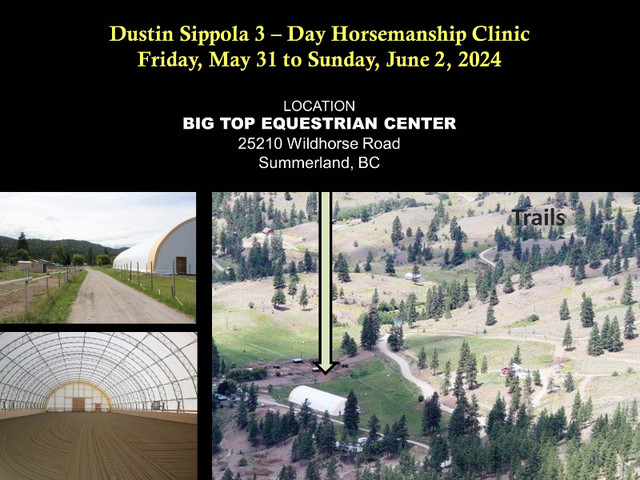 3- Day DUSTIN SIPPOLA HORSEMANSHIP CLINIC in Equestrian & Livestock Accessories in Penticton - Image 3
