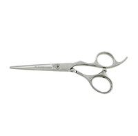 Ciseaux coiffure / haircut scissors