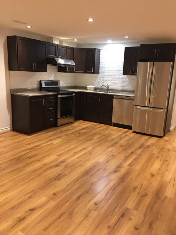SPACIOUS 1 BED + 1 BATH BASEMENT UNIT LOCATED SOUTH END GUELPH Long
