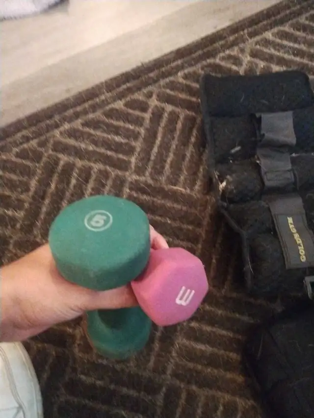 ankle weights  light dumbbells in Free Stuff in Ottawa - Image 3