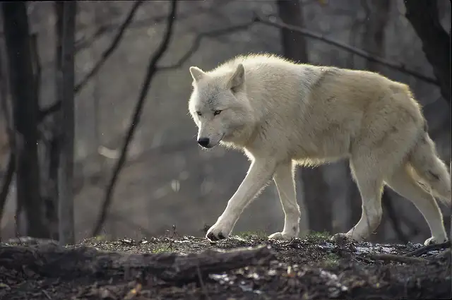 LIVE Interactive Photography Courses (Online)64551245031298124