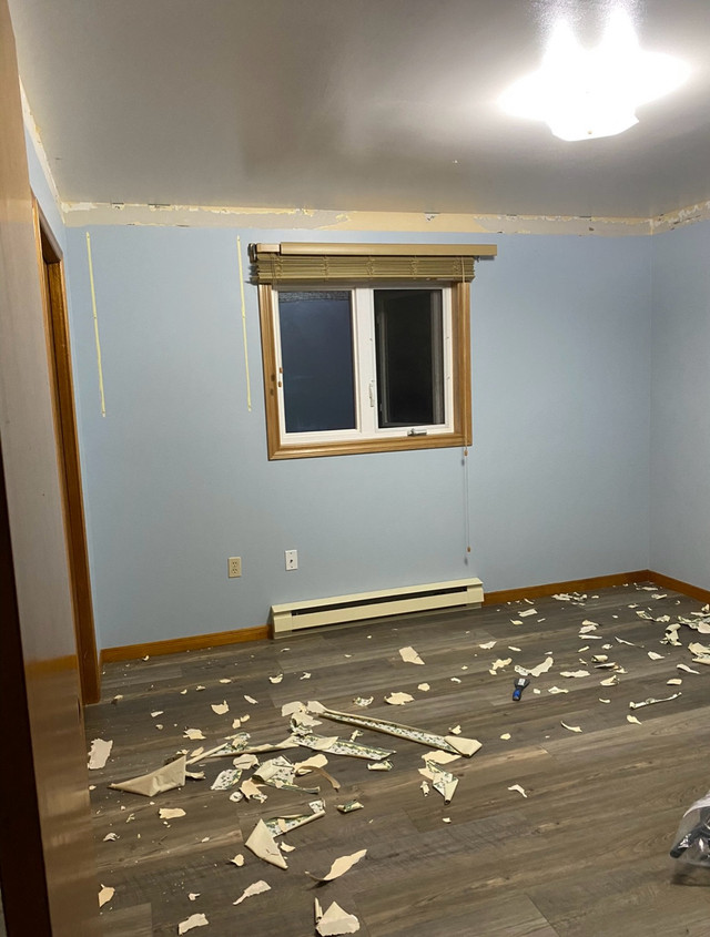 Interior painting services - HRM! in Painters & Painting in Bedford - Image 2