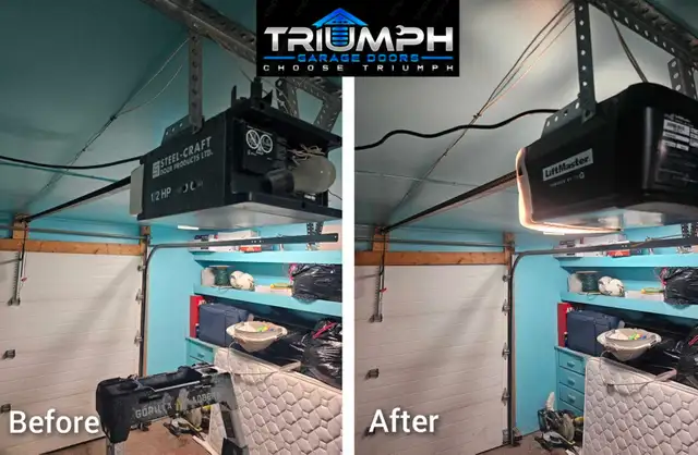 LOWEST PRICE GUARANTEE! - Triumph Garage Door Repair62864357533442124