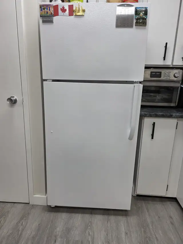 Frigidaire Fridge + Freezer62863281554819128