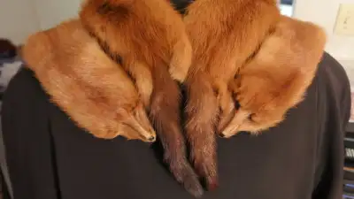 FOX STOLE / Scarf 4 body w/heads and feet, View more