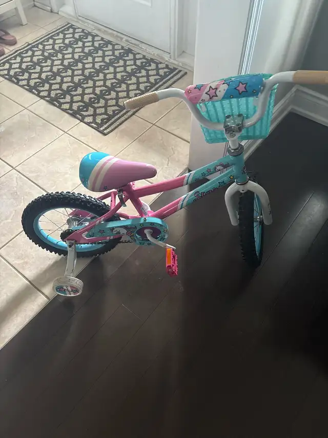 Star Unicorn Bicycle