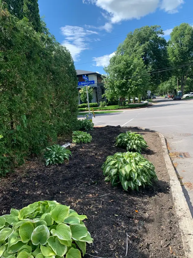 Reliable Local Yard Work489071910102640640