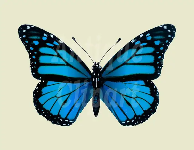 Help Needed Please65165139450755120