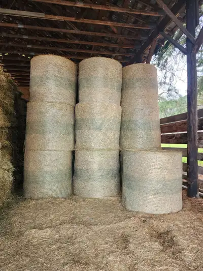 Hay for Sale, View more