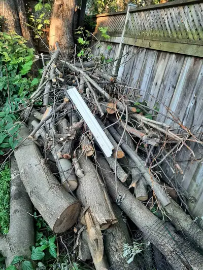 Free wood / Firewood, View more