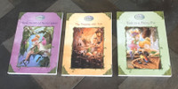 Set Of 3  New Tinkerbell Disney Fairy Books $5 For All