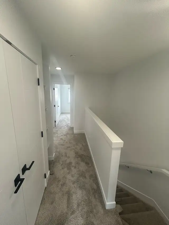 Affordable painter63235171019649121