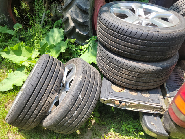 Pirelli Potenza Tires in Tires & Rims in Hamilton