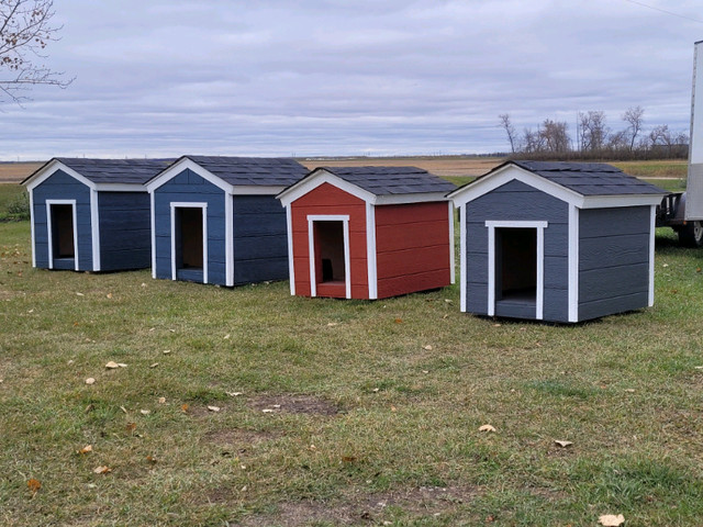 Fully Insulated Premium Dog Houses in Accessories in Winnipeg - Image 4