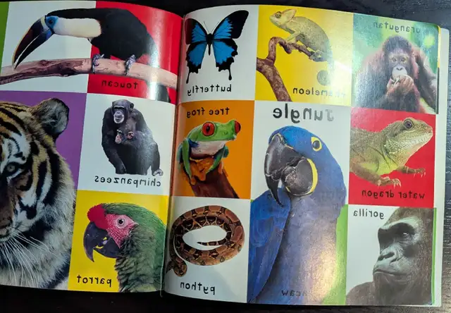 Baby First Word Books.  -  6 books in Children & Young Adult in City of Toronto - Image 9